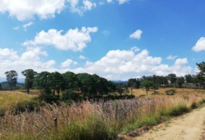 Terreno en venta Aldea Chillani San Pedro Sacatepequez - 1