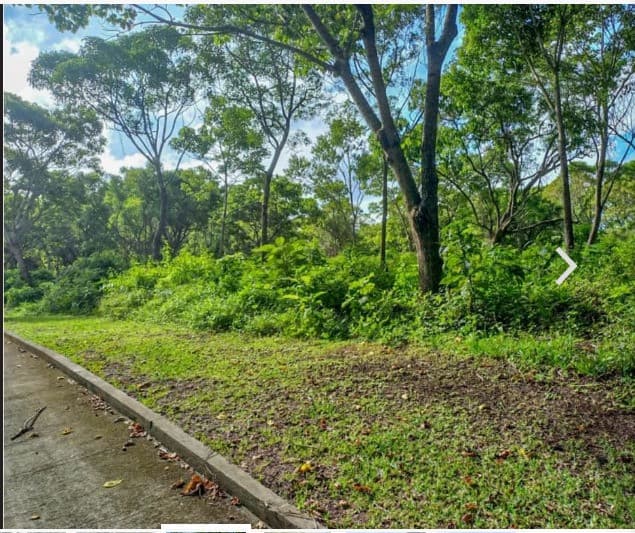 TERRENO EN #VENTA RESIDENCIAL CASA Y CAMPO - 1