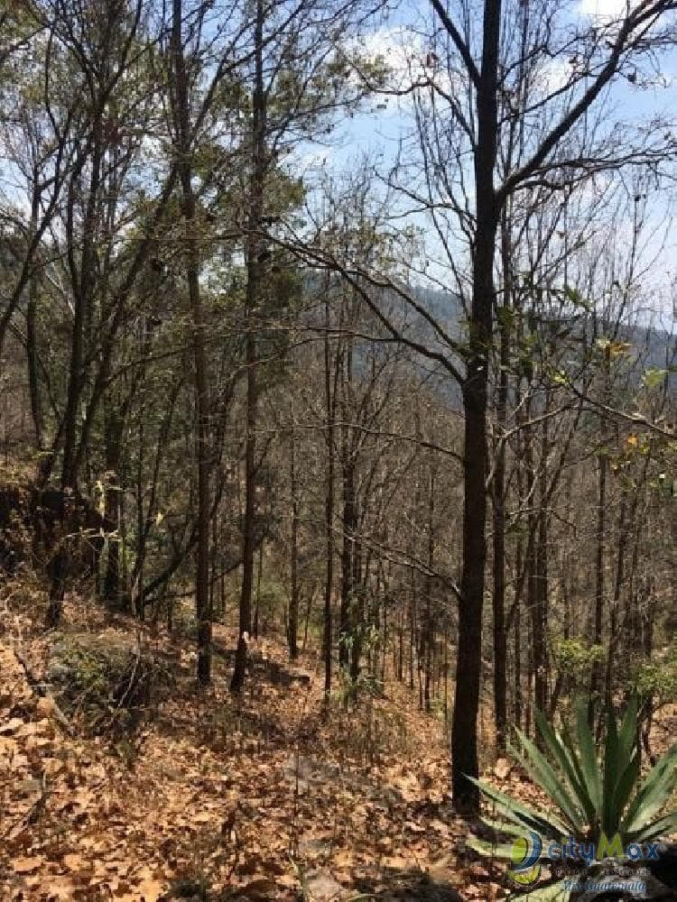 Terreno rustico en venta en Santa Rosa - 1