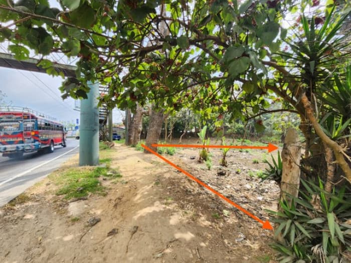 Terreno en Venta Ruta Interamericana San Lucas - 1