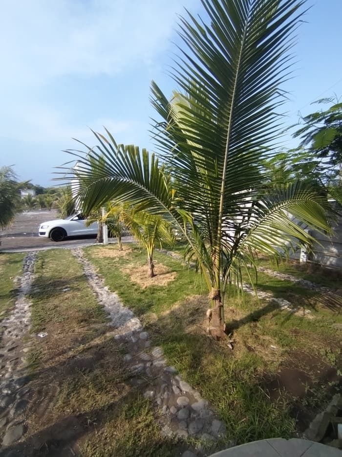 HERMOSA CASA EN #VENTA EN MONTERRICO - 1