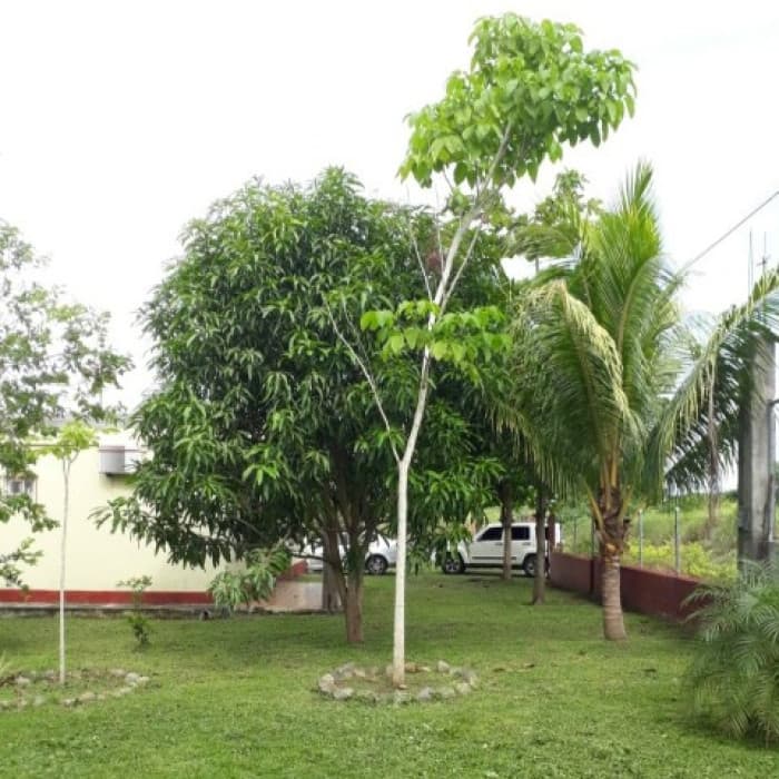 Casa en Venta Quintas La Ponderosa, Puerto Quetzal - 1