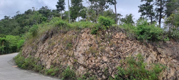 Terreno en venta en San Antonio la Paz el Progreso - 1