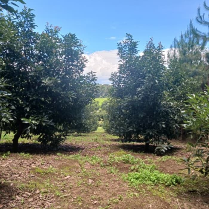 Terreno Comercial y Residencial en Venta Santiago Sac. - 1