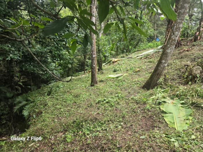 TERRENO EN #VENTA EN PIEDRA PARADA CRISTO REY - 1
