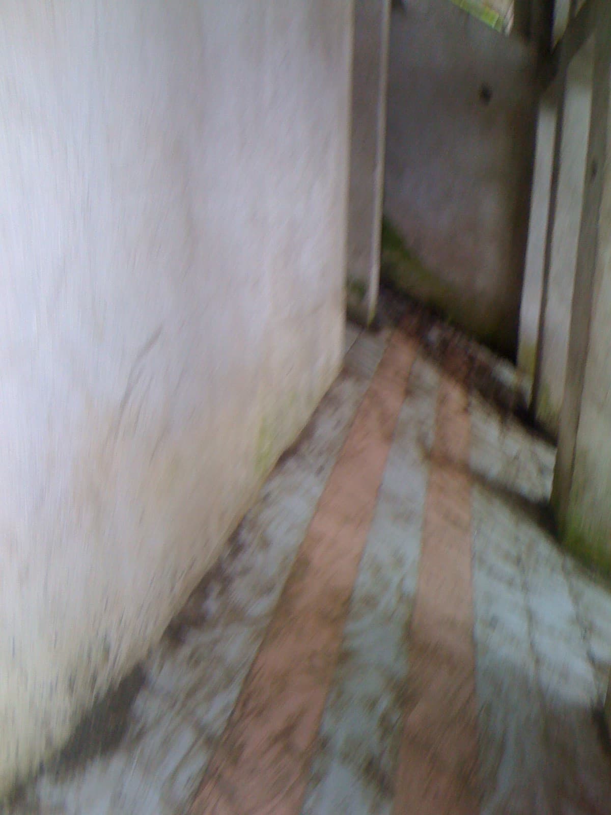 Terreno con Vocación comercial en San Antonio Palopo - 1