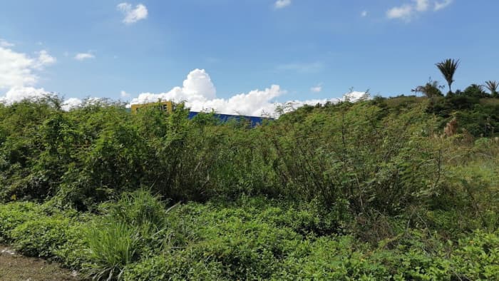 PROPIEDAD EN #VENTA EN PUERTO BARRIOS, IZABAL - 1