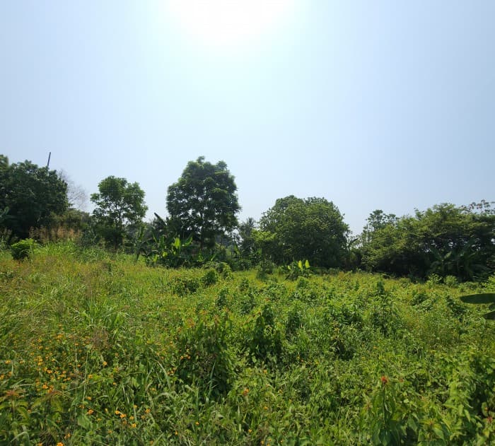 En Venta finca +40Mil Varas en el Km. 78 Ruta CA-2 - 1
