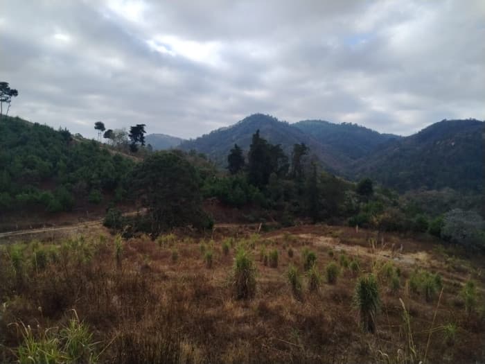 Amplio terreno de 109 manzanas al Atlántico zona 17 - 1
