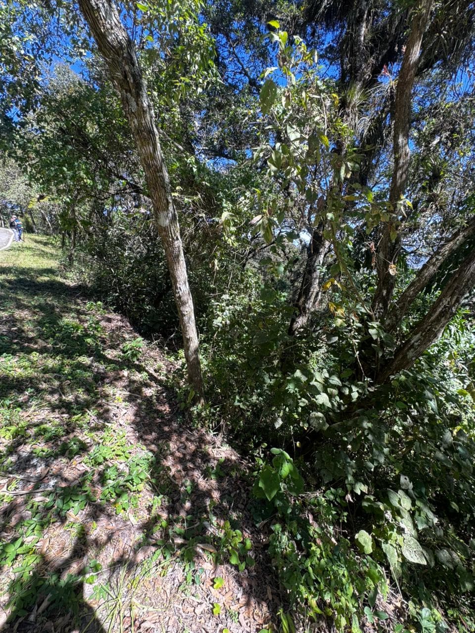 Terreno Residencial en Venta en Zona 1, Mixco, Guatemala - 1