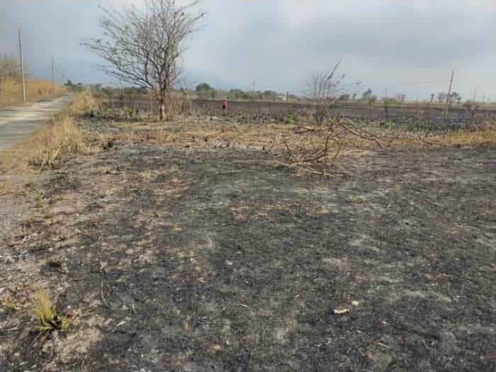 Terreno en Venta en Taxisco Santa Rosa KM 117 Lagunas - 1