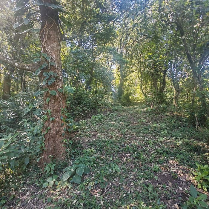 Finca en Venta de 9 manzanas en Fraijanes Guatemala - 1