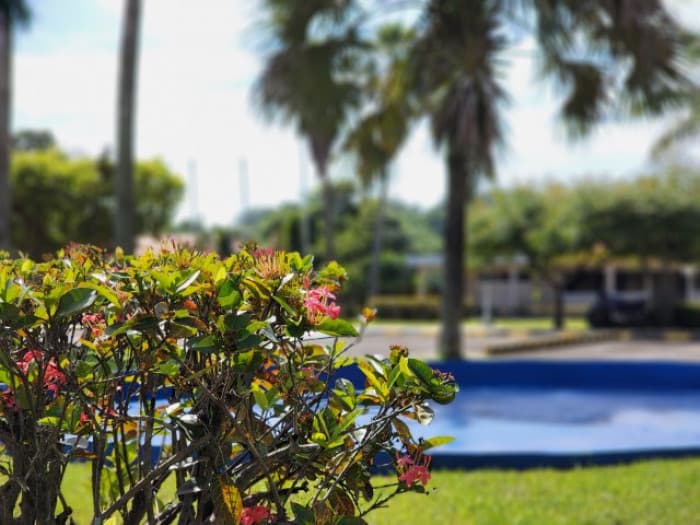 Terreno Vacacional en Venta en Lagunas de Torremolinos - 1
