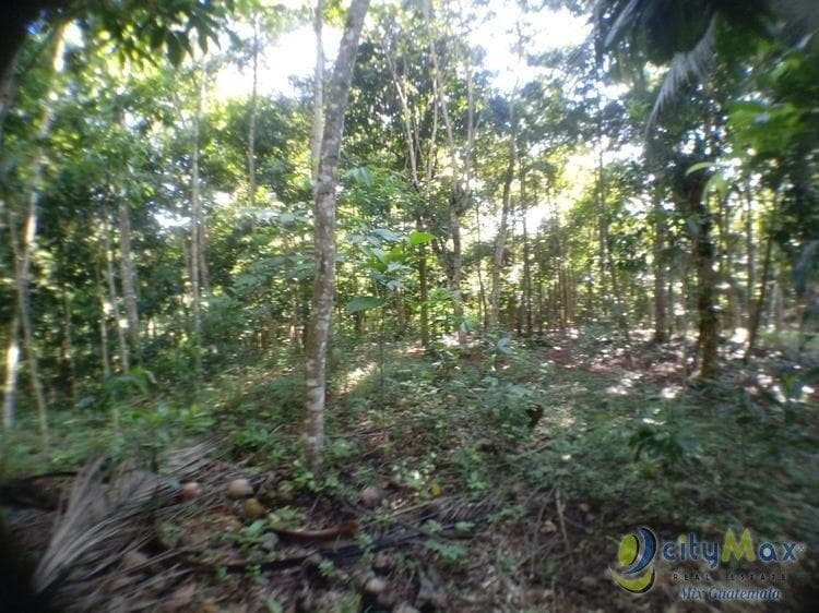 Terreno en Venta en Entre Rios Puerto Barrios, Izabal - 1