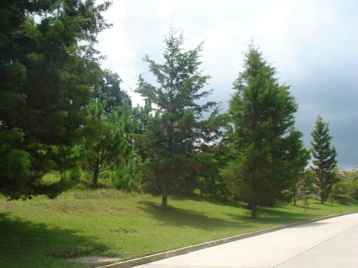 En venta Terreno plano en Casa & Campo - 1