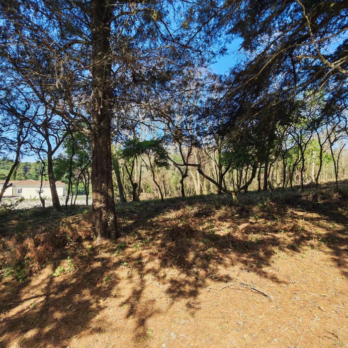 Terreno en Casa & Campo en Venta - 1