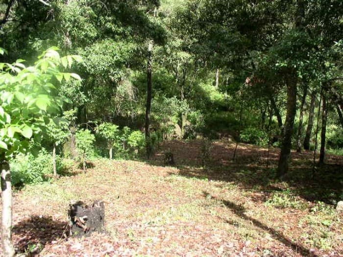 Terreno Hacienda Quinta las Flores, S. Juan Sac. - 1