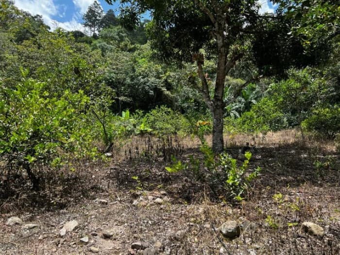 Finca en Venta, Acatempa, Jutiapa, Guatemala - 1