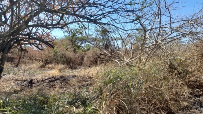 Terreno de 14 x 50 metros en Venta Quintas Malibu - 1