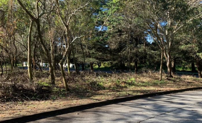 Venta terreno residencial Casa y Campo km 23.5 CAES. - 1