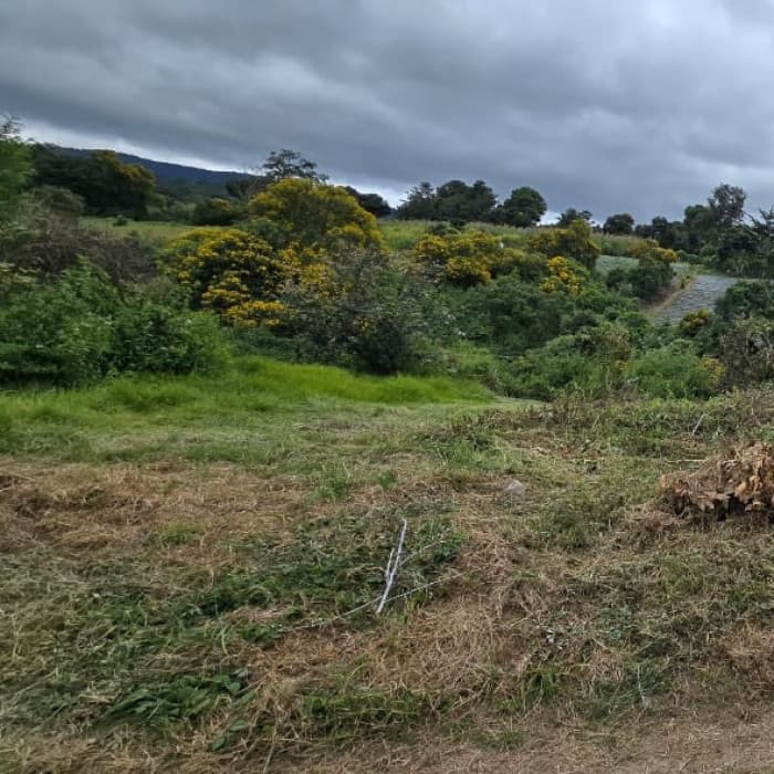 Terreno en Venta Granja Villas Alicia KM 32.9 Santiago - 1