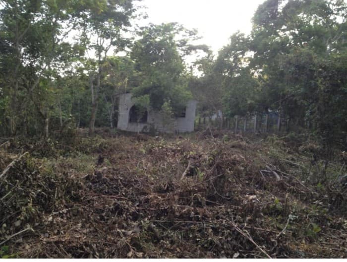 VENDO TERRENO EN SAN ANDRES PETEN - 1
