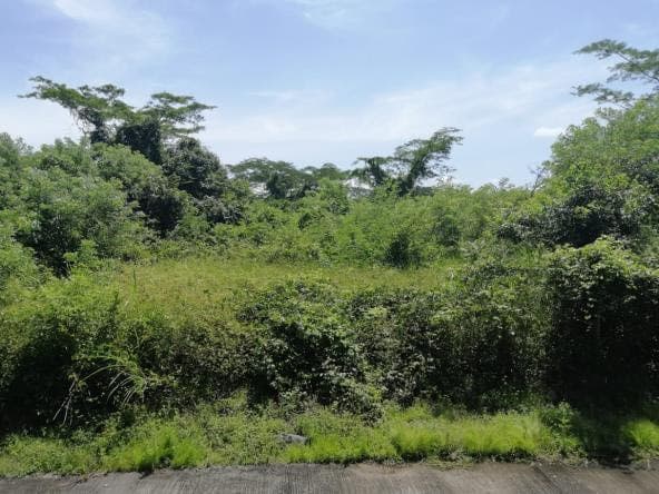 Torremolinos terreno vacacional en venta en Escuintla - 1