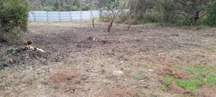 Terreno en Venta Granjas Praderas del Bambú - 1