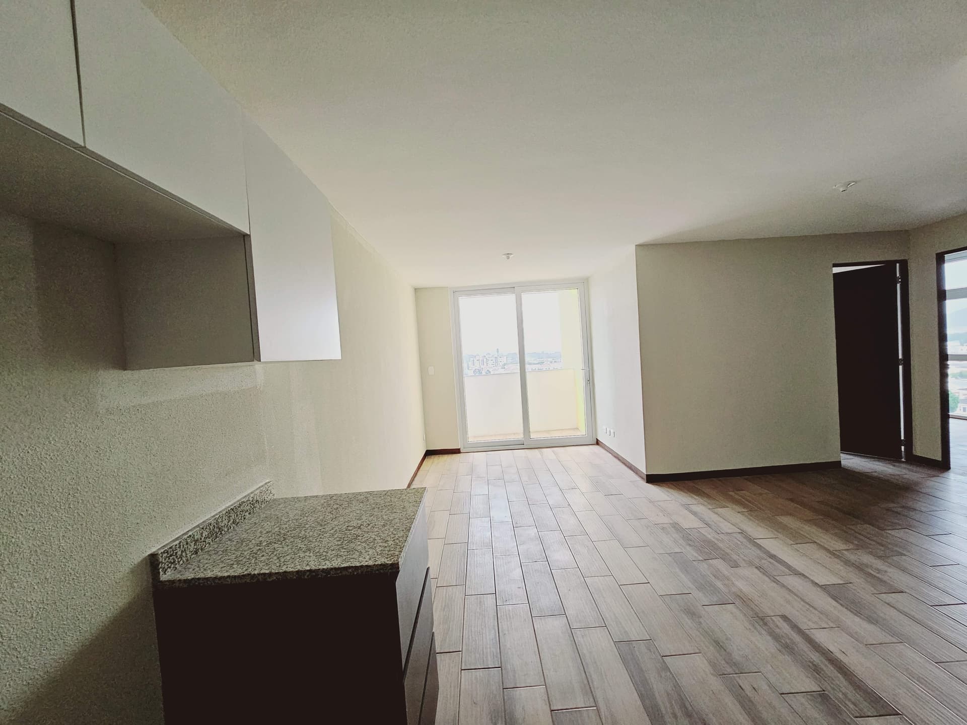 Apartamento en Venta y Renta en San Nicolas del Bosque - 1