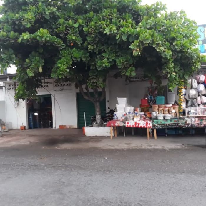 Terreno Comercial en Renta San Marcos, Urbano La Blanca - 1