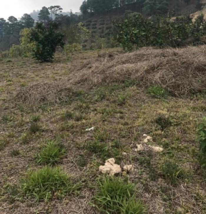 Venta de terreno dentro Residencial Cuilapa Santa Rosa - 1