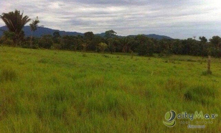 Vendo Terreno de 67 manzanas en Izabal - 1