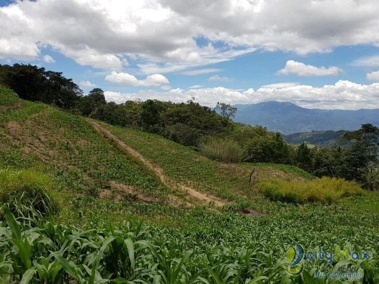 Terreno en Venta San Raymundo, 46,280.98 metros² - 1