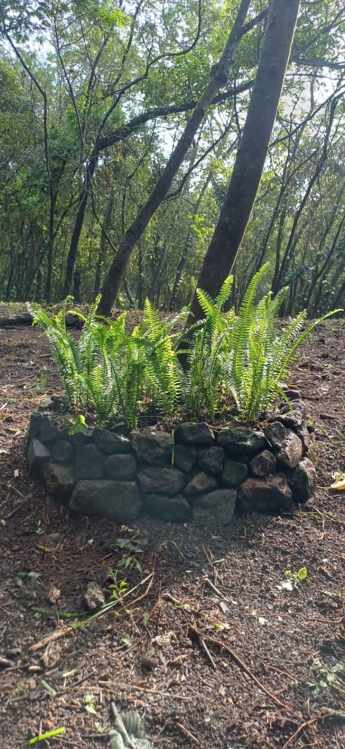 Terreno en Venta en La Reunión Antigua - 1