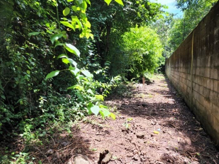 Terreno en Venta Cañadas de Torre Molinos Escuintla - 1