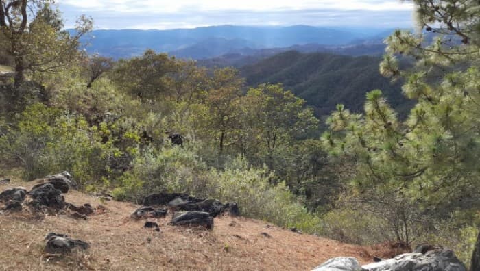 Terreno Rustico en Venta en Baja Verapaz con Mármol - 1