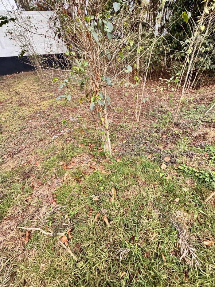 Terreno en venta en Antigua Gardens - 1