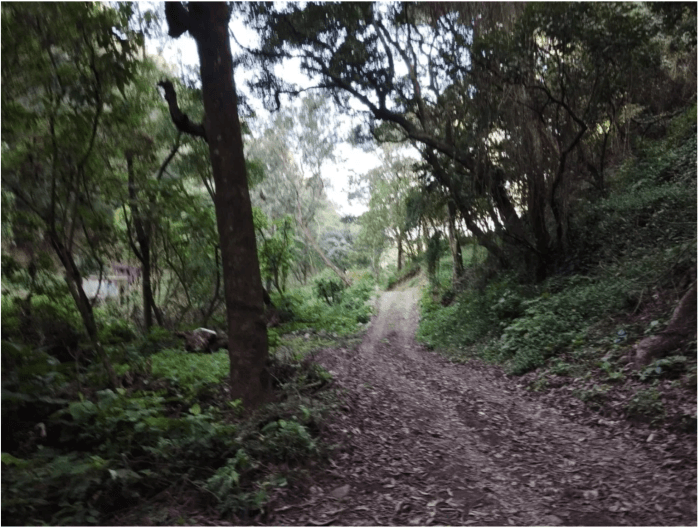 Finca en Venta cercana La Antigua Guatemala - 1