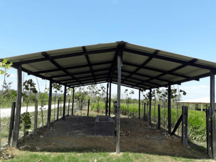 Establo para Ganado en Venta en San Benito Petén - 1