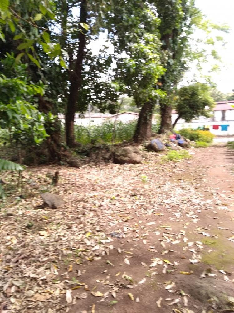 Terreno en Venta en Suchitepéquez, Cuyotenango. - 1