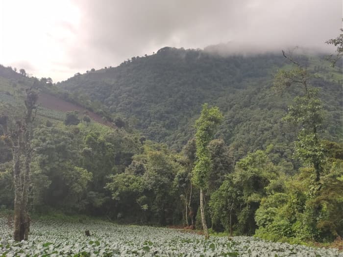 Finca en venta, Chimaltenango, kilómetros 65, - 1