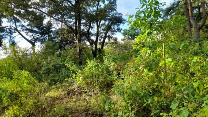 Terreno en Venta San Lucas Sacatepéquez, Guatemala - 1