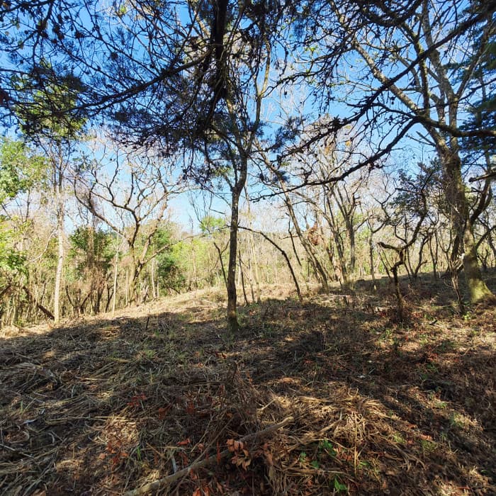 Casa & Campo Terreno en Carretera El Salvador en Venta - 1