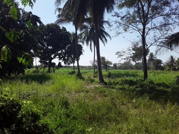 Terreno con Construcción en Venta Escuintla - 1