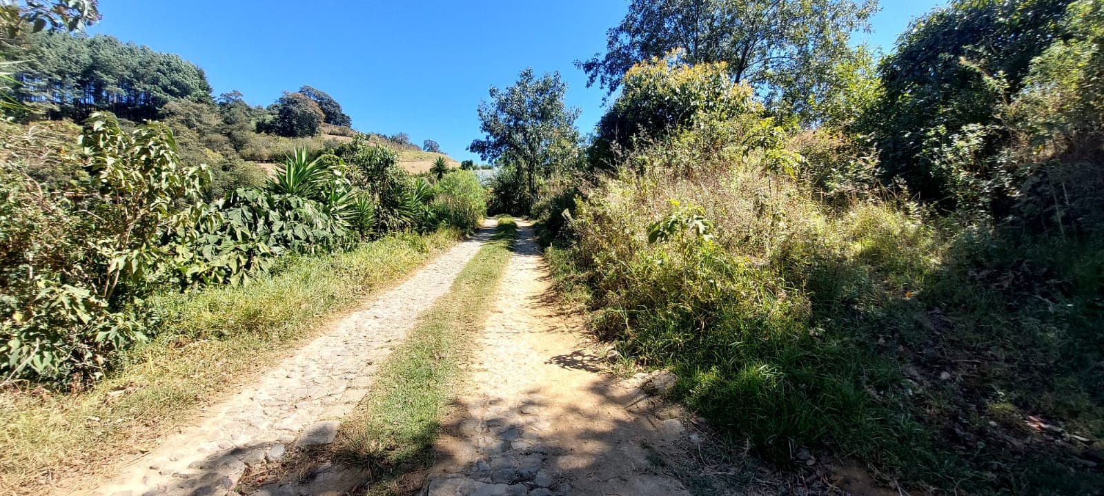 PRECIOSO TERRENO EN VENTA EN EL HATO - 1