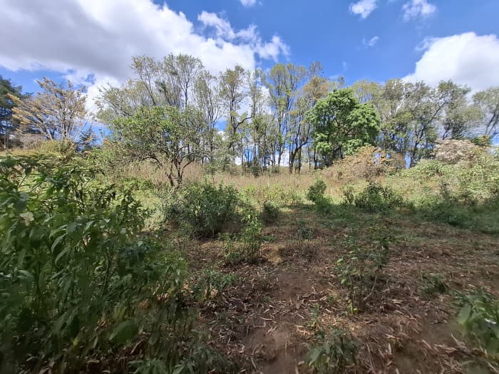 Terreno Rustico en Venta Solares del Trigal Sumpango - 1