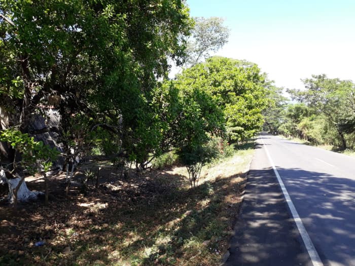Terreno Sobre Carretera Taxisco hacia Ferry Santa Rosa - 1