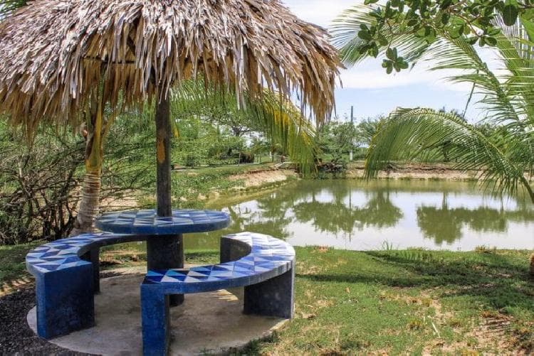 Terreno en venta en Monterrico KM 117 - 1