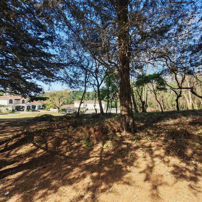 Casa & Campo Terreno en Carretera El Salvador en Venta - 1