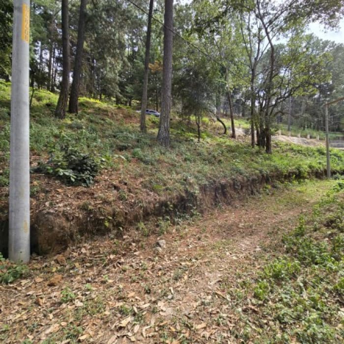 Terreno en Venta Los Horizontes Santo Domingo Xenacoj - 1
